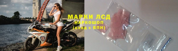 мдпв Богданович
