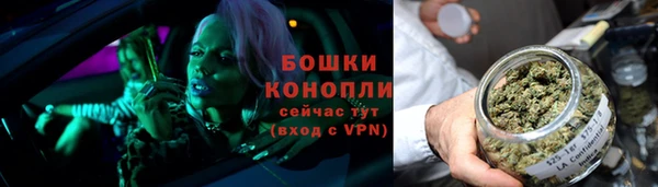 мдпв Богданович