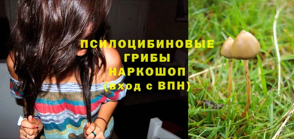 мяу мяу кристалл Бородино
