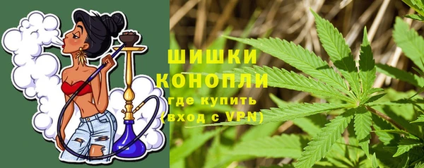 прущие грибы Карпинск