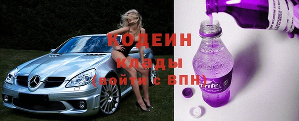 мдпв Богданович